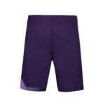 SHORTS LE COQ SPORTIF AUSTRALIAN OPEN PRO - Imagen 2